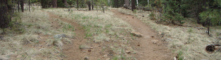 Illegal Hiking Trail