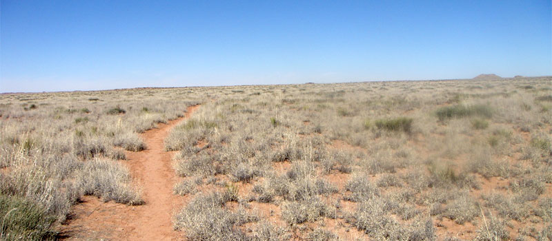 Nusungvo Trail