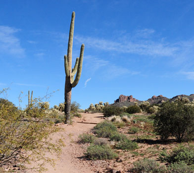 lost dutchman state park treasure loop trail