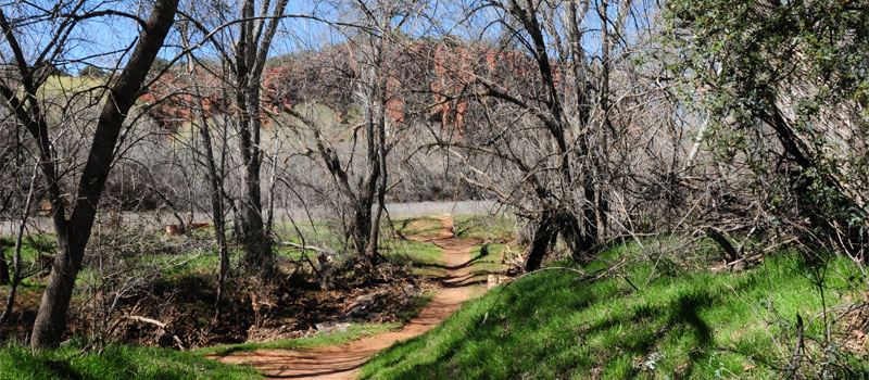 Eagles Nest Trail