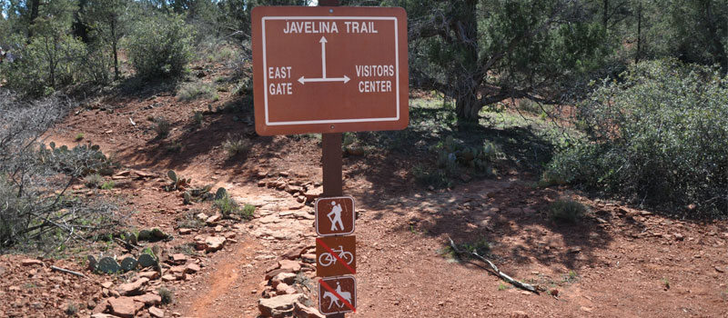Javelina Trail