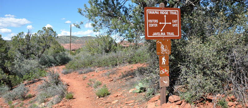 Yavapai Ridge Trail