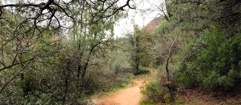 Clifftop Nature Trail