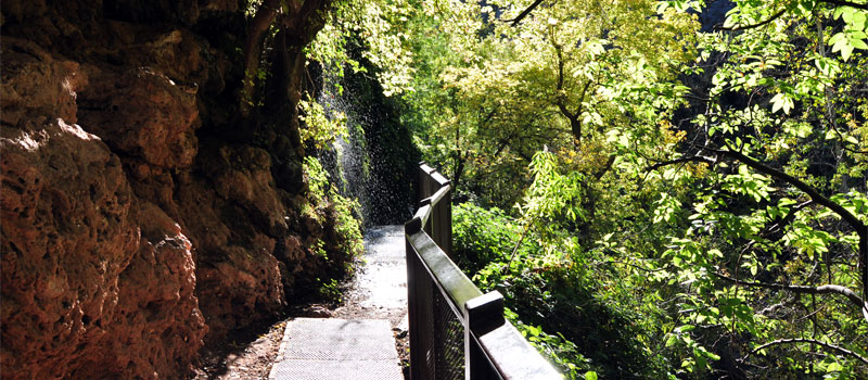 Waterfall Trail