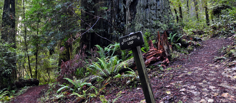 Ellsworth Loop Trail