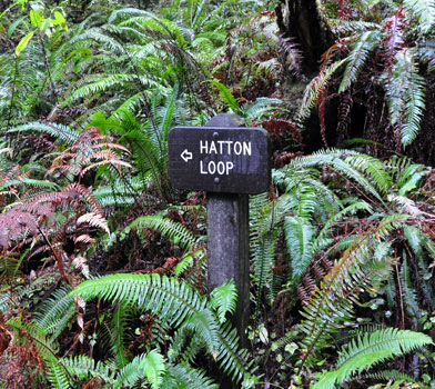 Hatton Loop Trail
