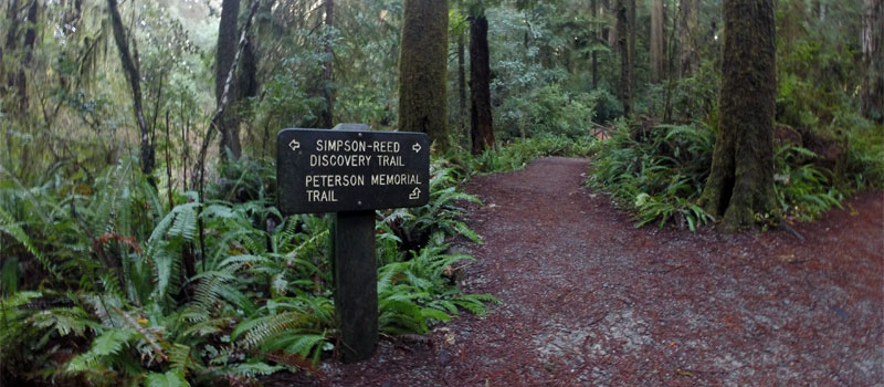 Peterson Memorial Trail
