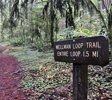 Wellman Trailhead