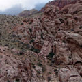 Calico Hills Trail