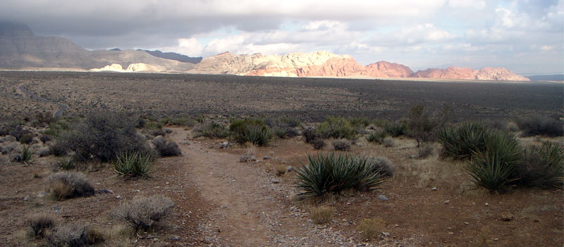 Red Rock Wash Trail
