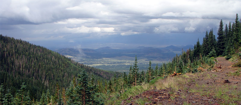 Abineau Trail