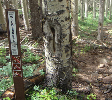 Bear Jaw Trail