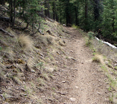 Brookbank Trail