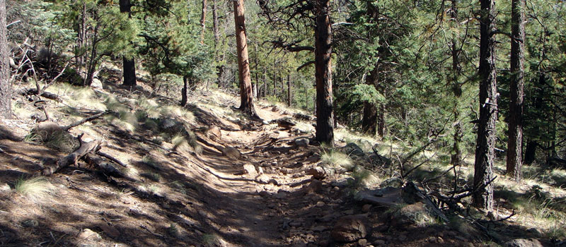 Brookbank Trail