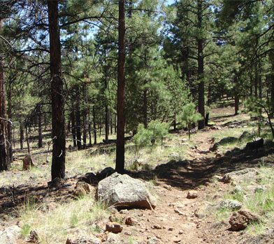Deer Hill Trail