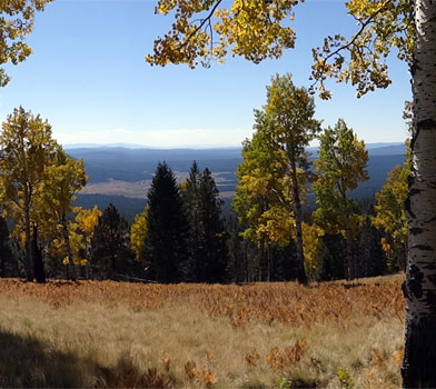 Kachina Trail Landscape