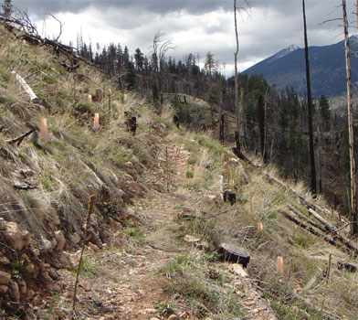 Little Bear Trail