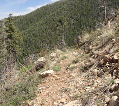 Little Bear Trail