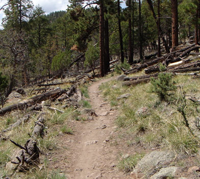 Rocky Ridge Trail