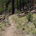 Rocky Ridge Trail