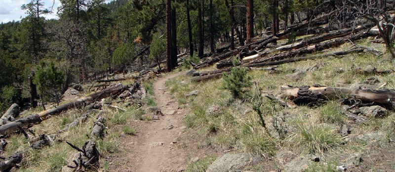 Rocky Ridge Trail