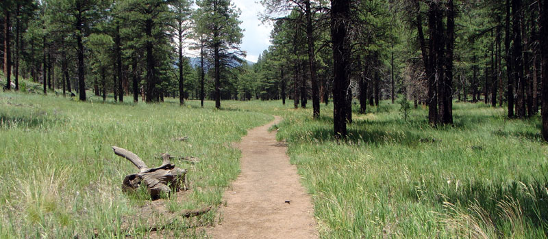 Sandys Canyon Trail