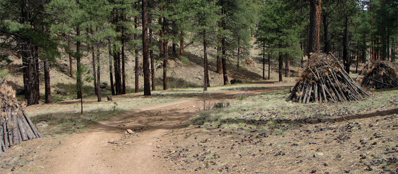 Schultz Creek Trail