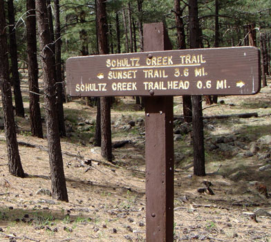 Schultz Creek Trail