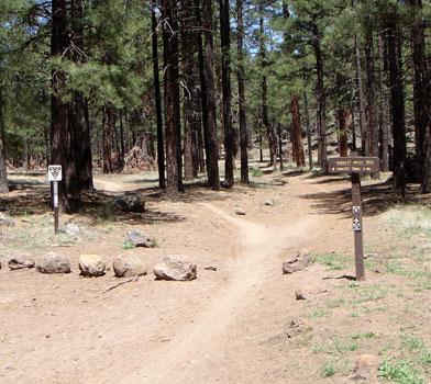 Schultz Creek Trail