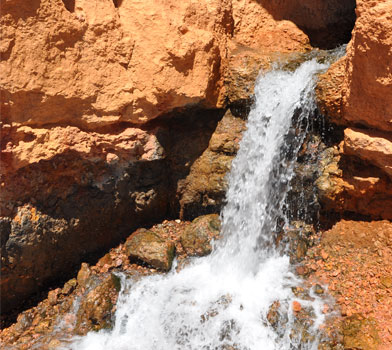 Cascade Falls Trail