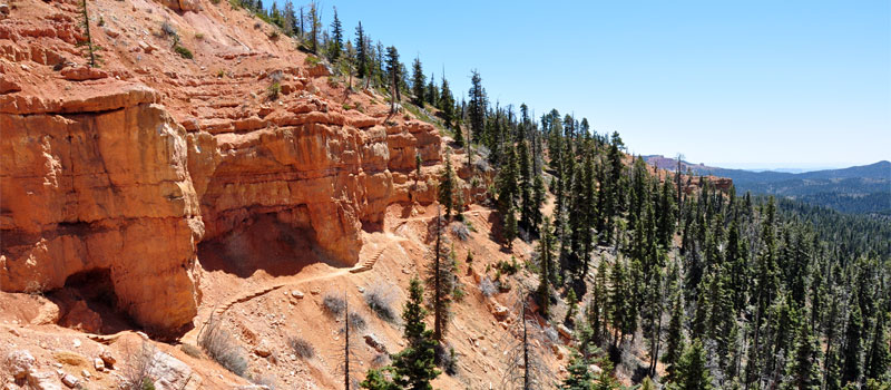 Cascade Falls Trail