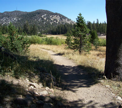 Tahoe Meadows Loop Trail