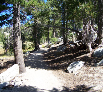 Tahoe Meadows Loop Trail