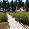 Tahoe Meadows Loop Trail