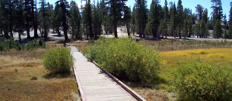 Tahoe Meadows Loop Trail