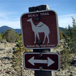 Beale Wagon Road Historic Trail