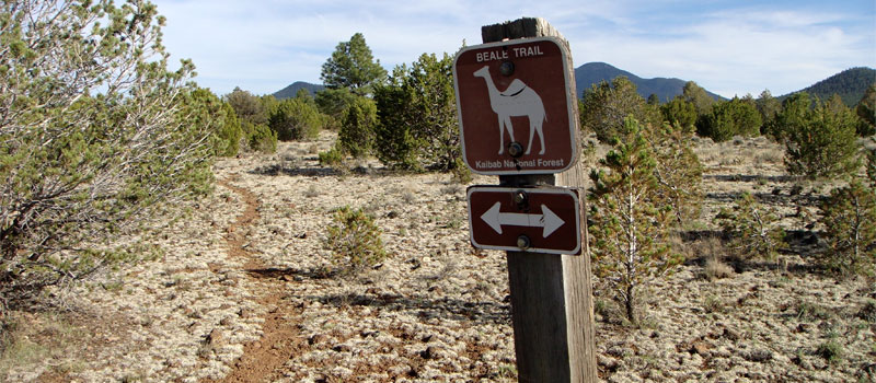 Beale Wagon Road Historic Trail