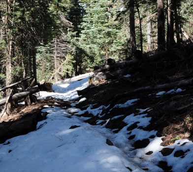 Bill Williams Trail Snow