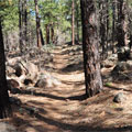 Buckskinner Trail