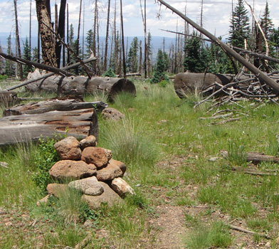 Bull Basin Trail