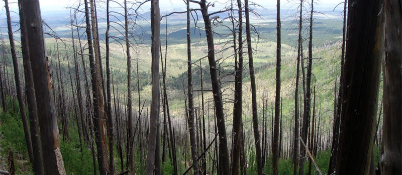 Bull Basin Trail