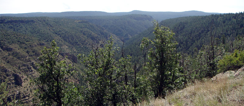 Canyon Overlook Trail