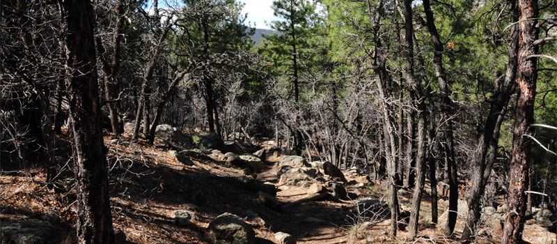 Clover Spring Trail