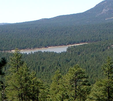 Dogtown Lake Trail