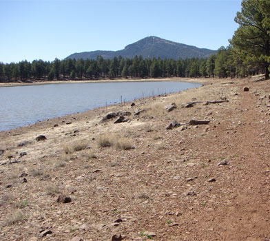 Dogtown Lake Trail