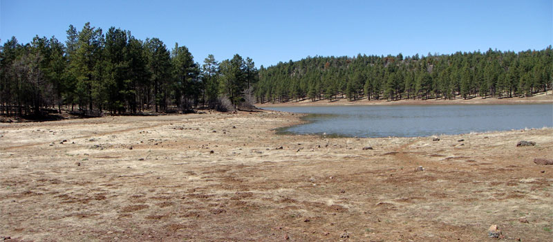 Dogtown Lake Trail