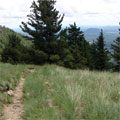 Kendrick Mountain Trail