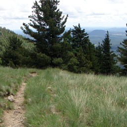 Kendrick Mountain Trail