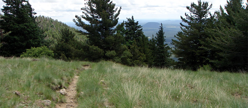 Kendrick Mountain Trail