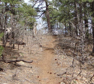 Summit Mountain Trail